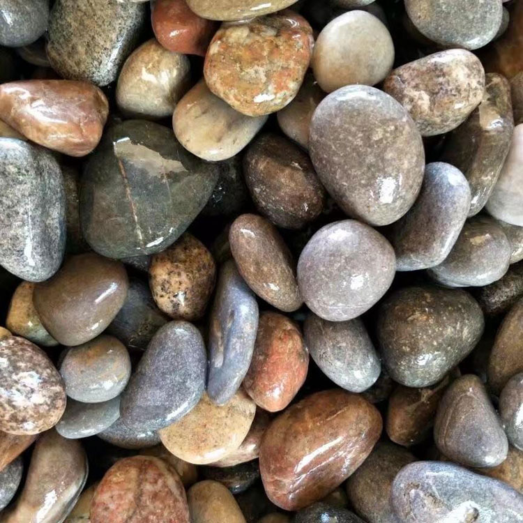 Wholesale Natural River Pebble Stone