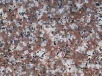 G663 Flooring Tiles Pink Granite Wall Tiles